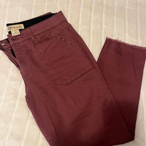 Democracy Ab-Technology Cranberry Studded Skinny Jeans! EUC! Worn once!